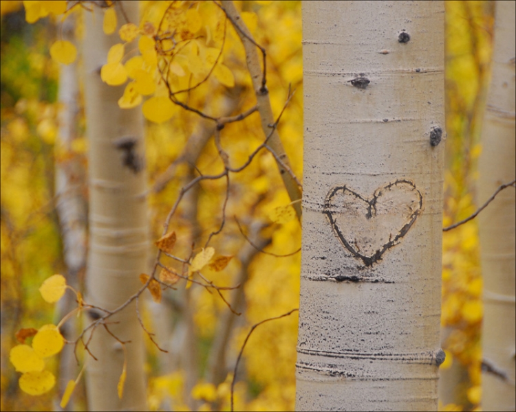 Peter Steele Photography Aspen Graffiti Heart